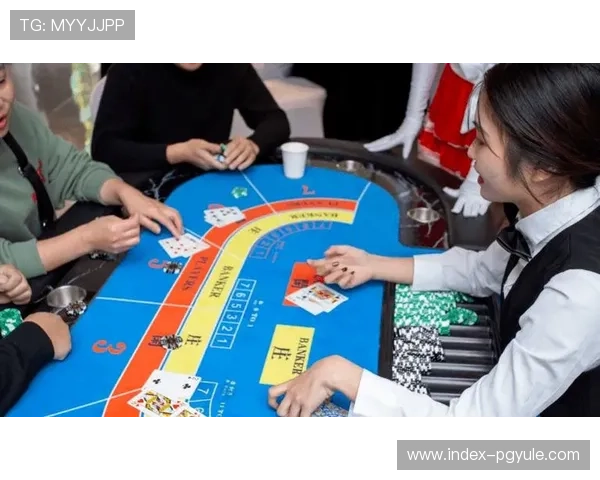 全面分析百家乐扑克游戏的规则与策略提升你的胜率